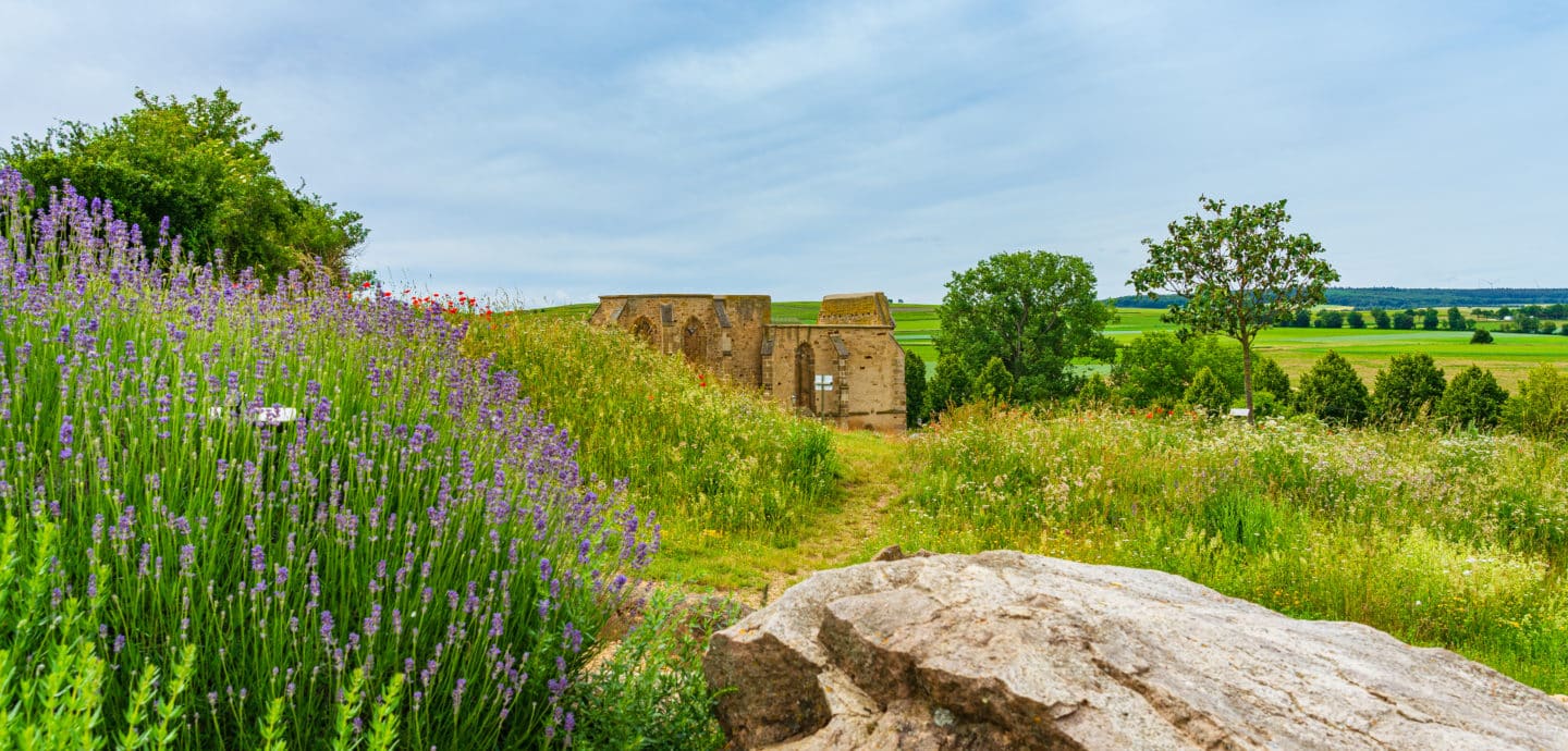 Beller Kirche und Strandpfad der Sinne, Eckelsheim in Rheinhessen