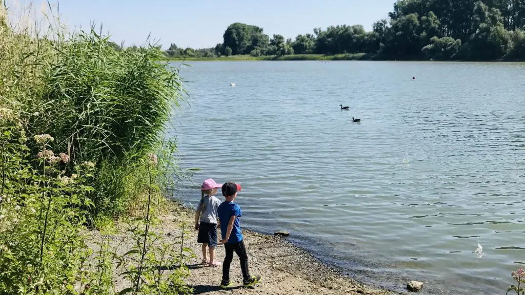 kinder-spielen-am-altrhein