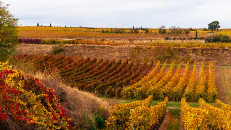 herbstferien rheinland pfalz