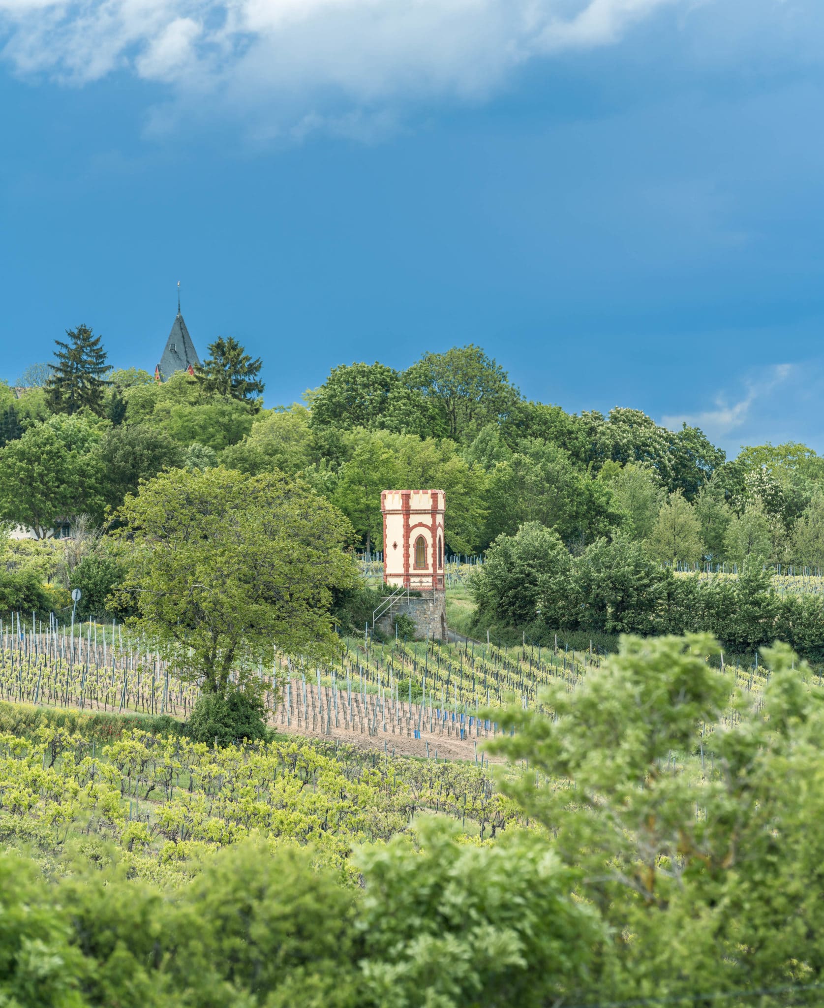 weingut blümel im magdalenenhof osthofen