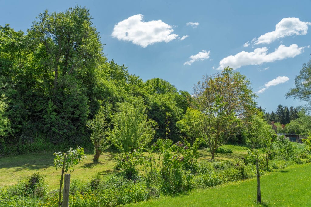 NiederWiesen verträumte Urlaubsidylle in Rheinhessen